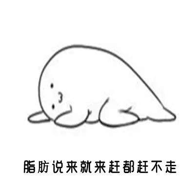 抖音减肥表情包-减肥带字图片无水印下载v1.0.